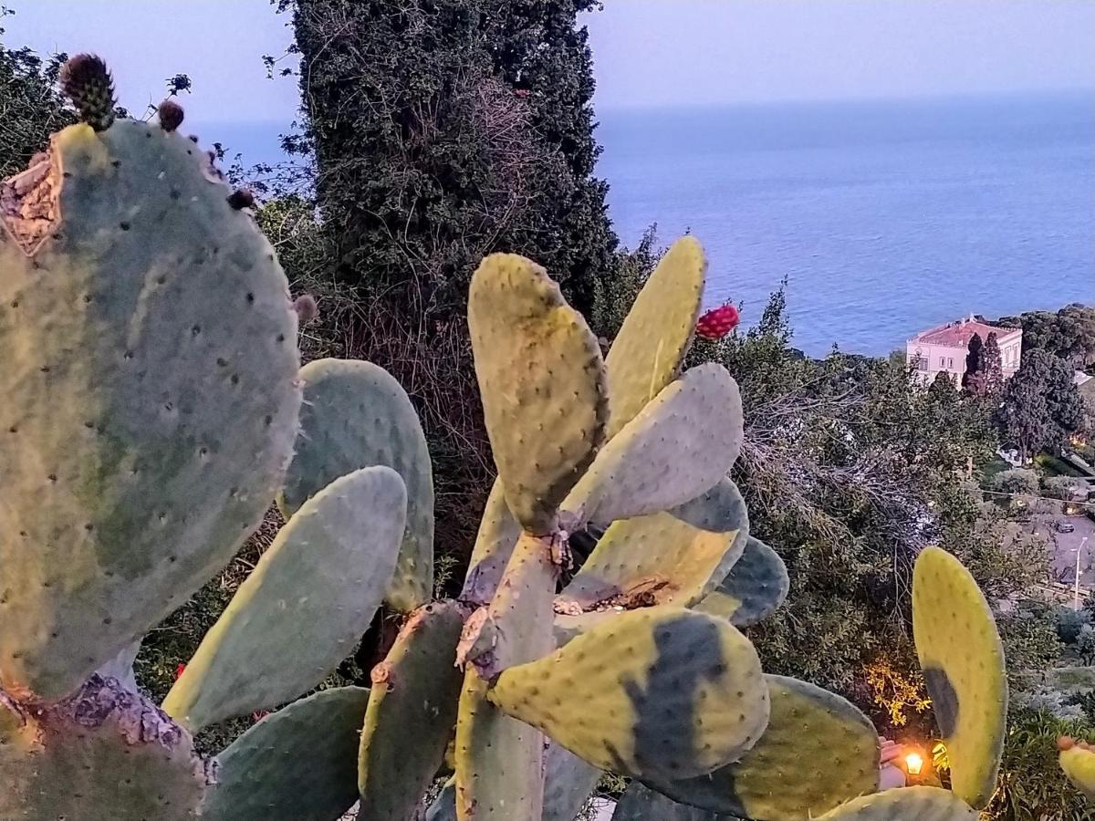 Bed and Breakfast Blue Sky House Taormina Exterior foto